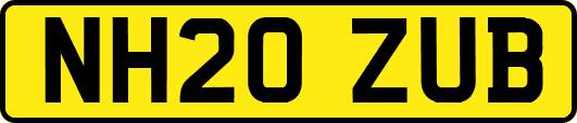 NH20ZUB