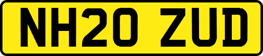 NH20ZUD