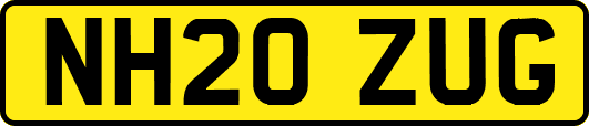 NH20ZUG