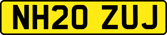 NH20ZUJ
