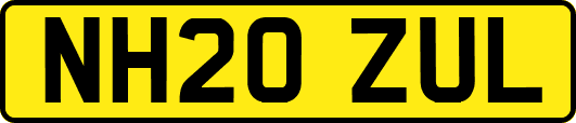 NH20ZUL