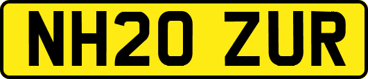 NH20ZUR
