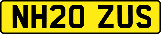 NH20ZUS