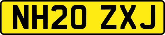 NH20ZXJ