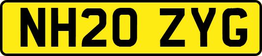 NH20ZYG