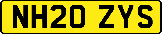 NH20ZYS