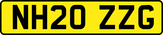 NH20ZZG