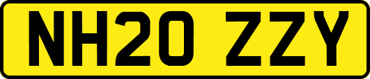 NH20ZZY