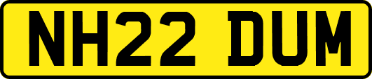 NH22DUM