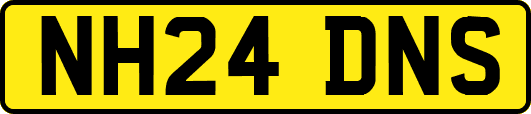 NH24DNS