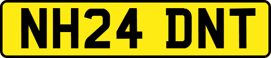 NH24DNT