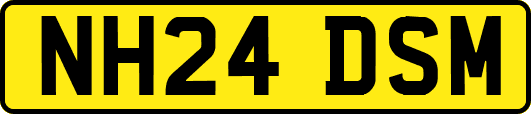 NH24DSM