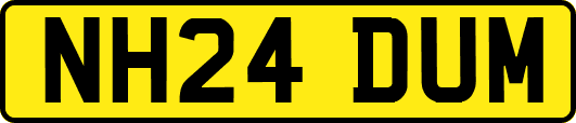 NH24DUM