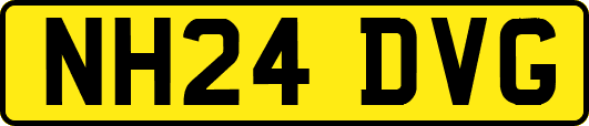 NH24DVG