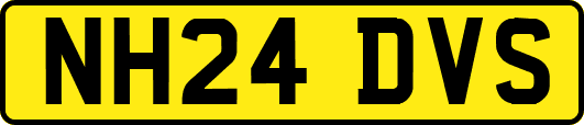 NH24DVS