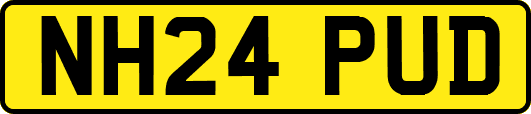 NH24PUD