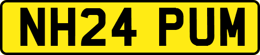 NH24PUM