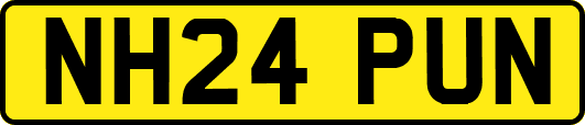 NH24PUN