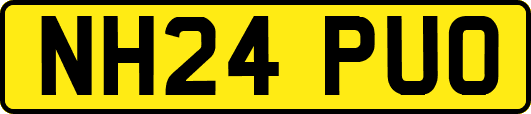 NH24PUO