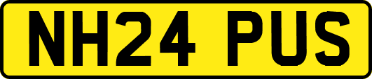 NH24PUS