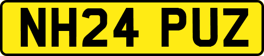 NH24PUZ