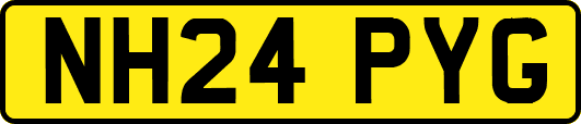 NH24PYG