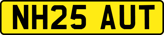 NH25AUT