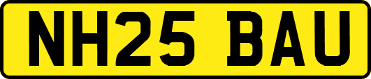 NH25BAU