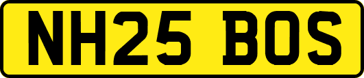 NH25BOS