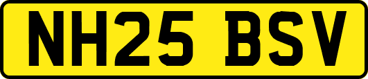 NH25BSV