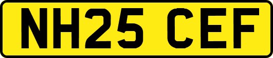 NH25CEF