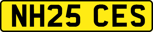 NH25CES
