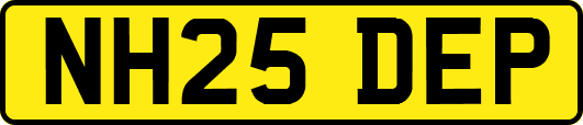 NH25DEP