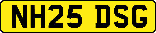 NH25DSG