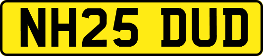 NH25DUD