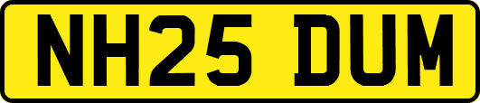 NH25DUM