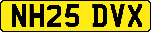 NH25DVX