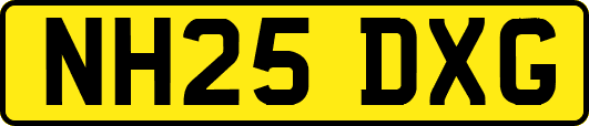 NH25DXG