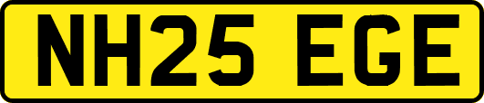 NH25EGE