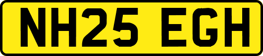 NH25EGH