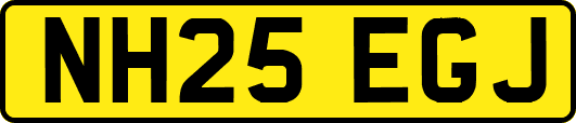 NH25EGJ