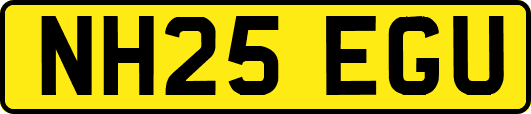 NH25EGU