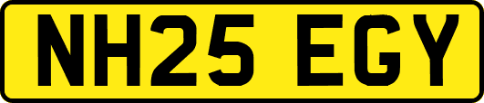NH25EGY