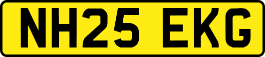 NH25EKG