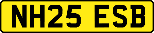NH25ESB
