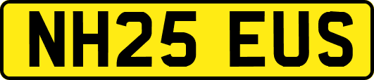 NH25EUS