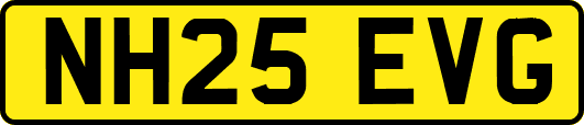 NH25EVG