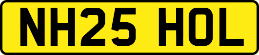 NH25HOL