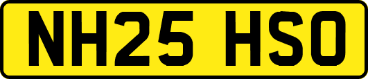 NH25HSO