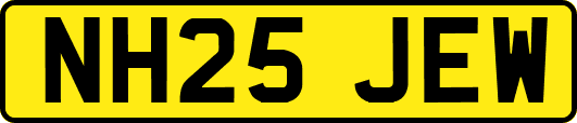 NH25JEW